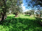 Bild 9 von 24