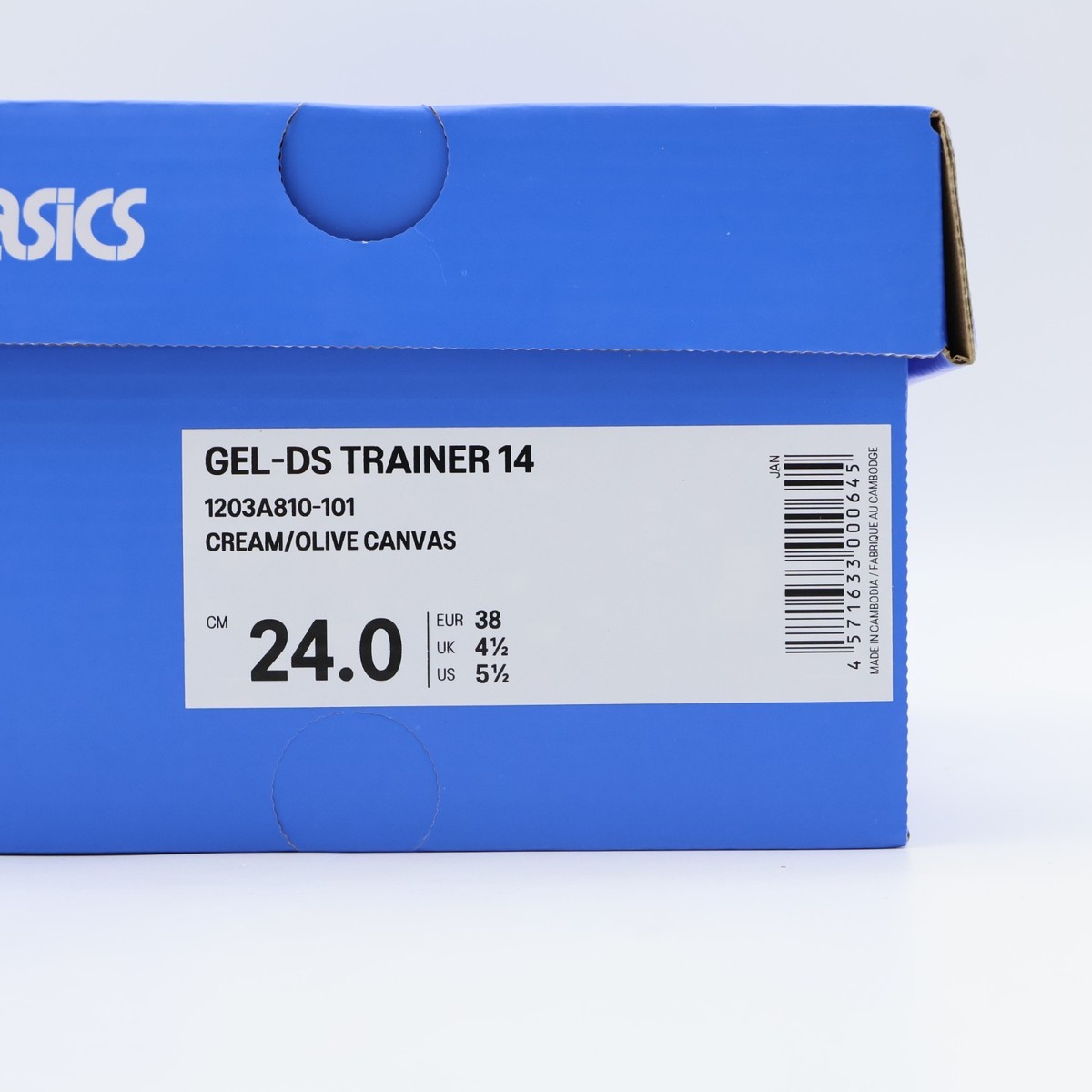 1203A810-101 Temptation Vacation × Asics Gel-DS Trainer 14 Cream