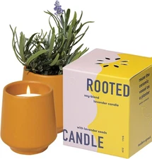 Rooted Candle - 2 in 1 Cucumber Scented & Soy Candle with s That Grows into