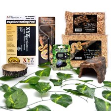 Ball Python Snake Habitat 10 Gallon Terrarium Baby Snake Starter Kit XYZReptiles
