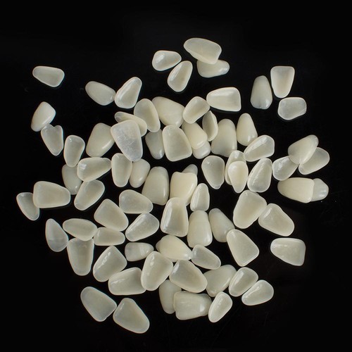 Molar Temporary Tooth Veneer Dental Material 2 Bags Unused Film eBay