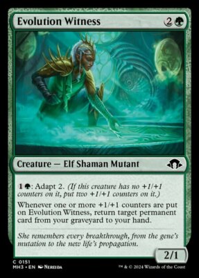 x4 Evolution Witness - Foil C MTG Modern Horizons 3 M/NM, English