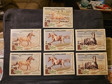 Lot of 7 2019 Topps Allen and Ginter Mares & Stallions