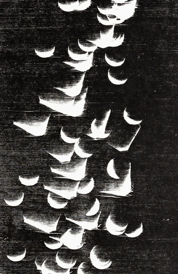 Hans HARTUNG: The Flight - 原版平版画 — 第 2/4 张图片