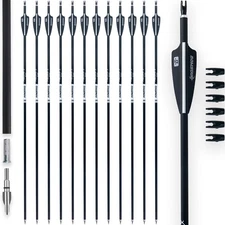 12pk 31" Carbon Arrows for Target Practice Hunting w/ Removable Tips Black White