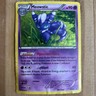 Meowstic XY48 - 2015 XY Black Star Promo Holo Pokemon Card - VERY DAMAGED