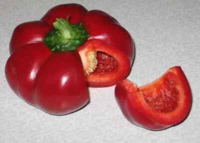 Sweet pepper Novogogoshary, 50 pepper se@ds,capsicum,organic -587 + TRACK  