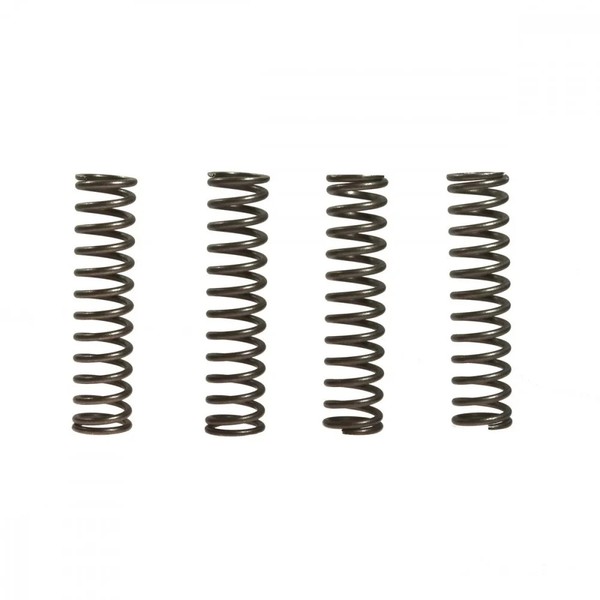 Kupplungsfeder VerstäRkt (4Stk) EBC CSK056 FüR Kawasaki ZZR 600 E Bj. 2005-2006-image