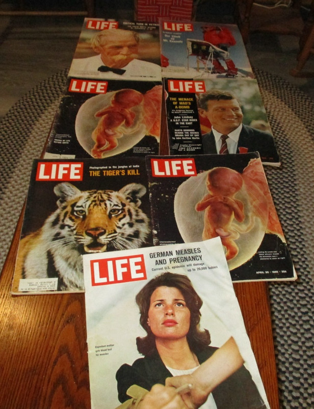 Vintage  Lot of 7  LIFE MAGAZINES  1965   February  - June     Great Ads !