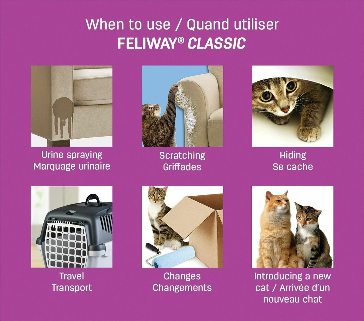 Feliway classic sales diffuser reviews