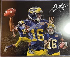 University of Michigan Signed Denard Robinson 16x20