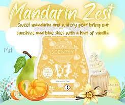 SCENTSY Bars große Auswahl BBMB Düfte im Ruhestand Buy3GET4th One GRATIS aktualisiert 10/24 - Bild 83 von 97
