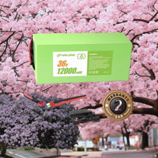 H HAILONG 36V 12Ah LI-ION Battery E Scooter Bicycle Battery ebike Pack