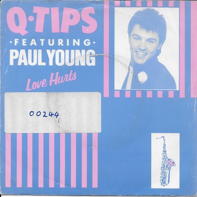 The Q Tips Featuring Paul Young - Love Hurts (7'')