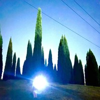 Vinile - Piccolo - Stellar-Boy - Bomba Dischi -D- Neu
