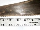 Vintage Disston Skew Back Handsaw 1896-1917 Applewood Handle 20” Well Loved — photo 7