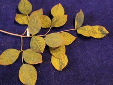 Vintage Millinery Flower Leaf 1 1/2" Coffee Brown Branch ZA4 Hat Wedding Hair