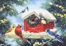Christmas Bird Feeder - LPG Box of 14 Christmas Cards by LPG Greetings