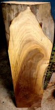 LARGE THICK KILN DRIED NATURAL EDGE WALNUT SLAB LUMBER WOOD 46" X 11 1/2" X 2"