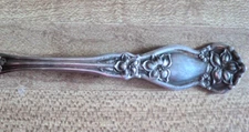 Wm Rogers & Sons A.A. "Orange Blossom" 1910  Silverplate  YOUR CHOICE