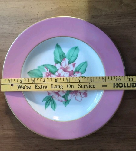 Greenbrier Resort Hotel Homer Laughlin Newell, WV 10.5" Dinner China Plate RARE - Bild 7 von 8