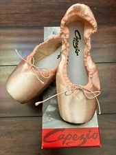 Capezio Glisse #113 Pink Ballet Pointe Toe Dance Shoes