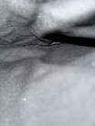 Picture 9 of 14