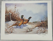 Allen Hughes NGP National Gard Products 1994 (Ringneck Pheasant) Print 121/600