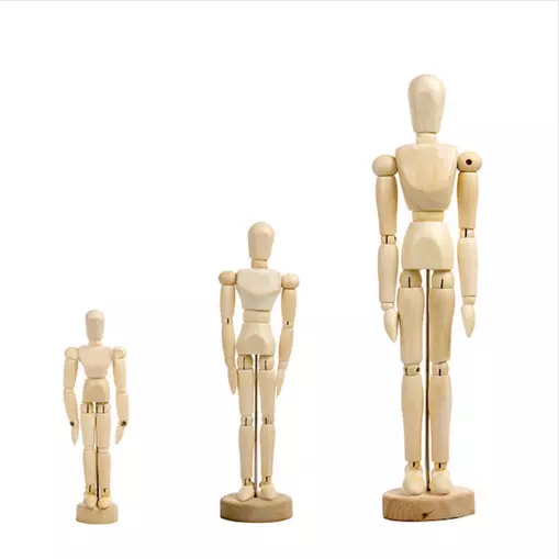 Manikin drawing sale