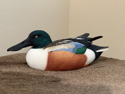 Ducks Unlimited Shoveler Drake Full Size Decoy by Jett Brunet NIB
