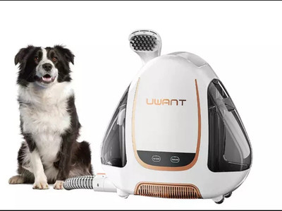 ANGEBOT! UWANT B100-E Waschsauger Teppichreiniger mit Multimode-Touchscreen,