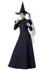 Brand New Wretched Wicked Witch Adult Costume