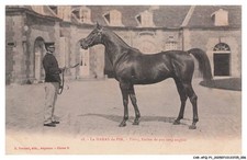 CAR-AFQP1-0004-61 - Il Haras Du Pin - Tibere - Stallone di Purosangue Inglese