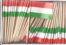 Box of 100 Hungary Toothpick Flags, 100 Small Mini Hungarian Flag Cupcake Picks