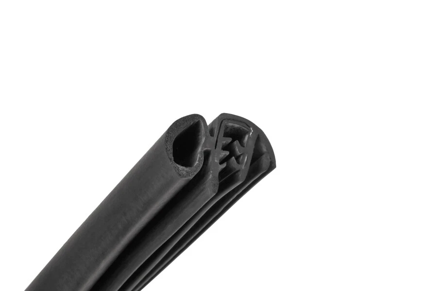 Dodge Ram 1500 2500 3500 2002-2008 camioneta pickup puerta delantera sello de resistencia a la intemperie Foto 2 de 3