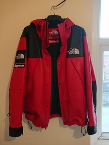 supreme x the north face leather mountain parka