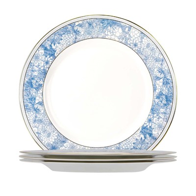 Fine Bone China Dinner Plates Sets,4 Pcs 10.5 inch Electrooptic Pattern Plate