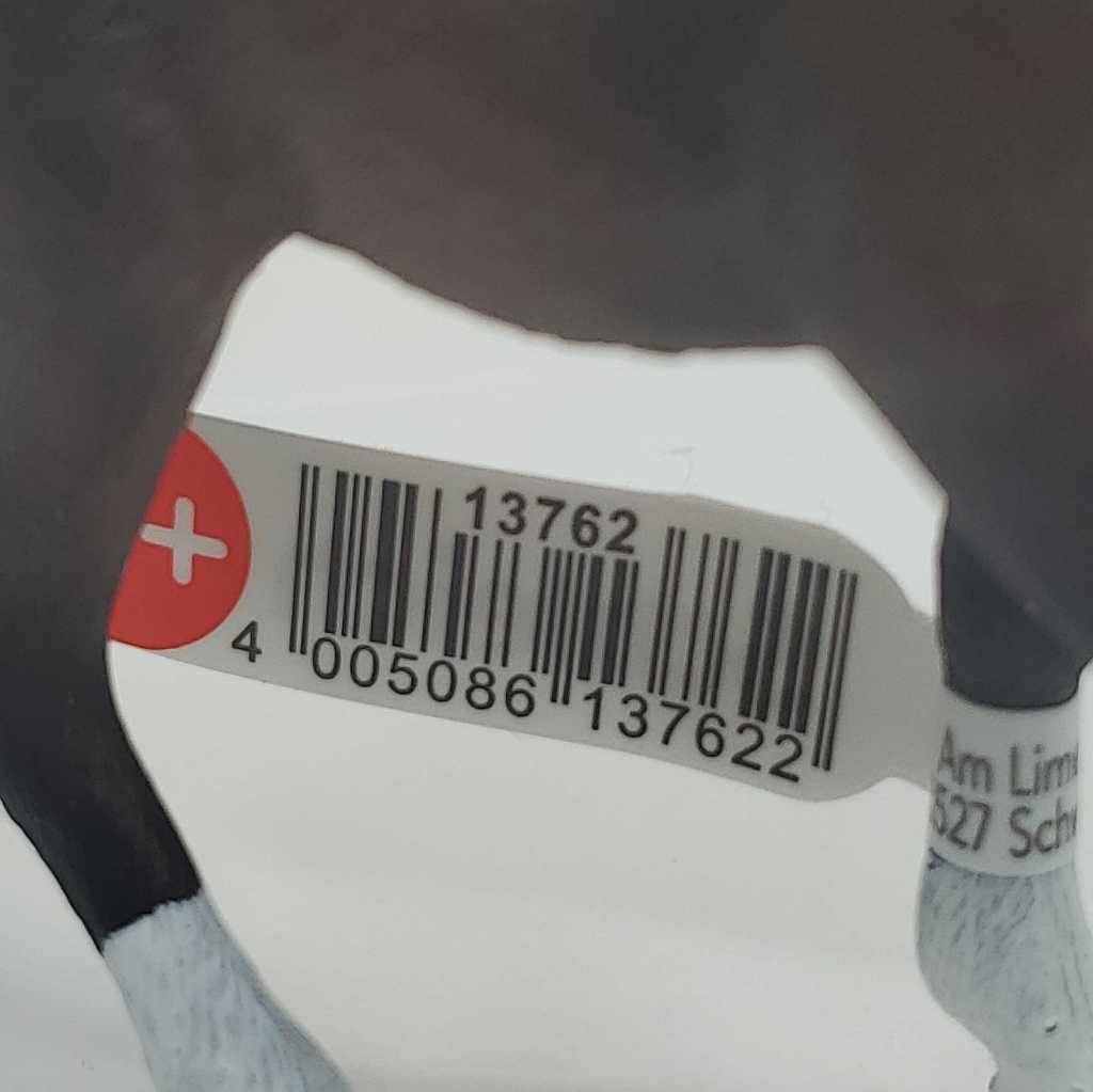Foto 7 di 7