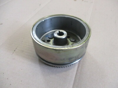 Rotor + Anlasserfreilauf für Yamaha 125 DTRE (DE061) - DTX (DE062)