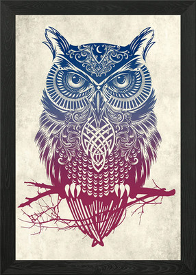 Warrior Owl Framed Wall Art Poster Canvas Print Picture