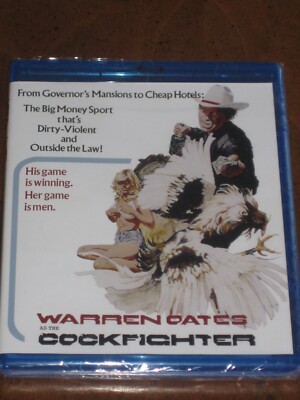 COCKFIGHTER: Shout Factory Limited Edition (1974) (Blu-Ray) WARREN OATES - NEW!!