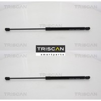 2X Gasfeder FüR Koffer-/Laderaum Triscan 871067216 DäMpfer GasdäMpfer