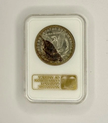 1886 Morgan Silver Dollar — NGC MS64  Vintage Fatty Holder 🔥 Toned 🌈