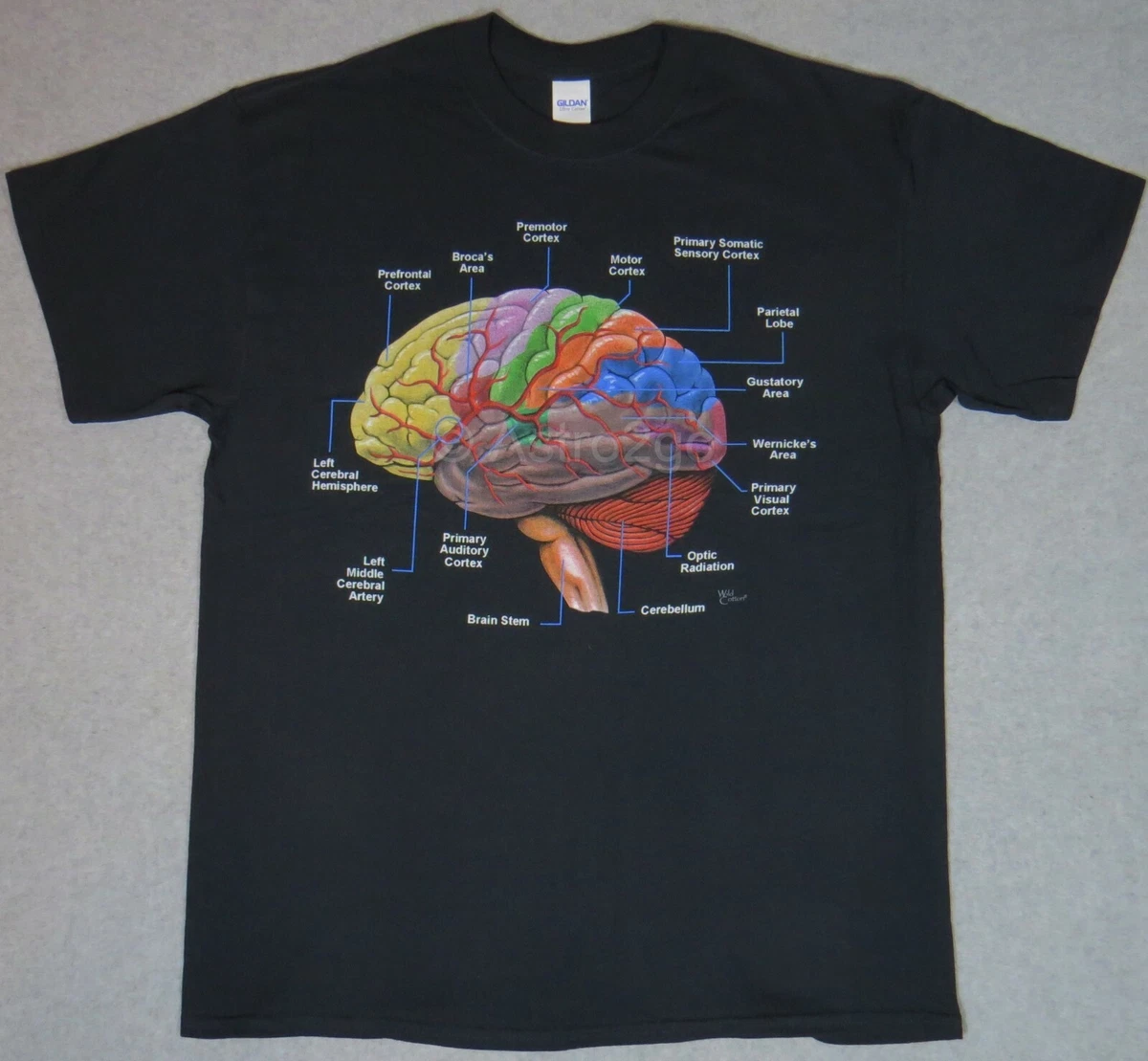 Brain t shirt cheap