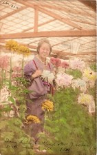 Geishas, Japan, Geisha in a Flower House, Vintage Postard