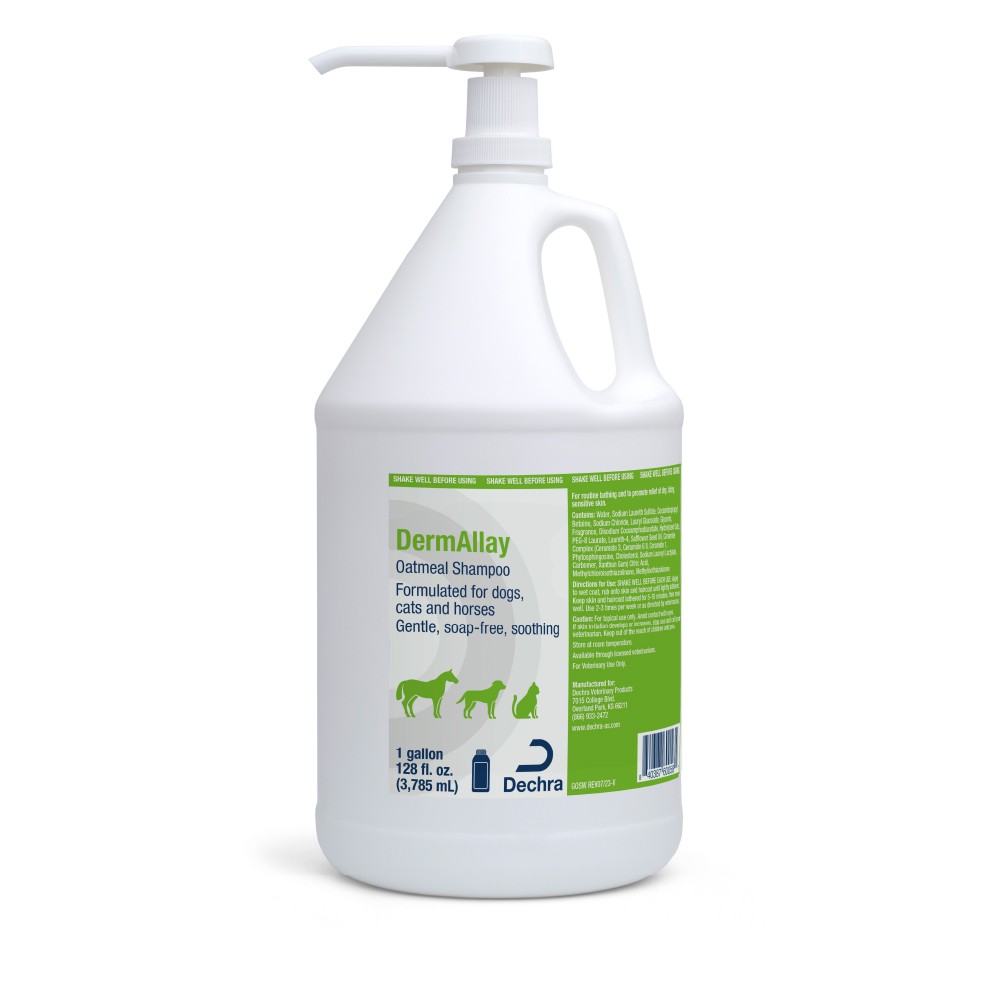 DermAllay Oatmeal Shampoo for Dogs  Cats  and Horses