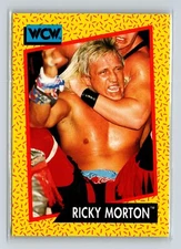 1991 Impel WCW #102 Ricky Morton
