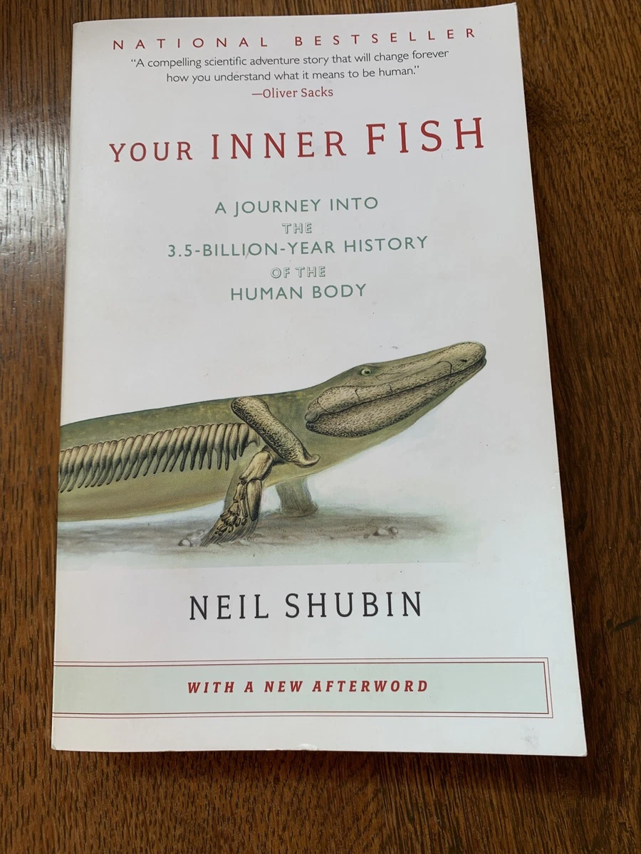 Your 2024 inner fish