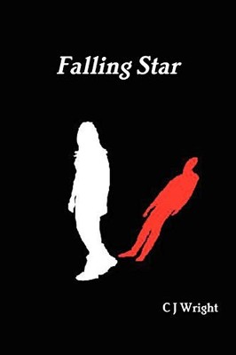 Falling Star by C. J. Wright (2010, Trade Paperback)