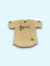 Nike Arizona Diamondbacks MLB Jersey City Connect Top Serpientes Men's XL